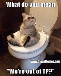 Best bernie sanders memes with mittens on. Meme Creation Funny Cat And Dog Memes Clean