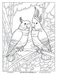 Nature coloring pages for adults free printable coloring. Pin On Adult Coloring Pages