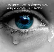 Check out our tristesse selection for the very best in unique or custom, handmade pieces from our digital prints shops. Hommage A Emy Le Petit Grenier D Emy Tristesse Citation Citation Tristesse Amour Larmes