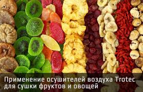 что можно сушить в сушилке для фруктов и овощей Proizvodstvo I Hranenie Suhofruktov S Primeneniem Osushitelej Vozduha Trotec Trotec