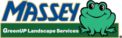 Probably about 10m x 10m of grass all up. Professional Melbourne Lawn Care And Landscape Services