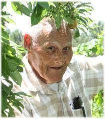 Wendy Petitjean's Instagram, Twitter & Facebook