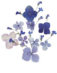 N E V E R L A N D S Pressed Flowers Pressed Flower Art Flower Art