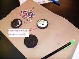 Pin On Ms Life Sciences