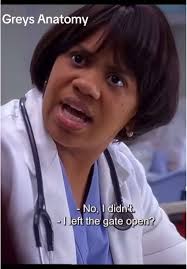 Miranda Bailey Faces Baby Accident Crisis in Grey's Anatomy
