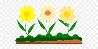 Bunga matahari vektor unduh gratis gambar clip art gambar. Yellow Flower Vector Image Garden Garden G Vektor Bunga Taman Png Free Transparent Png Clipart Images Download