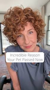 Dianne Sosa's Instagram, Twitter & Facebook