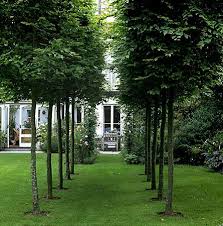 Formal Town Garden By Judith Sharpe Garden Designs Garden Design Landscape Design Dream Garden