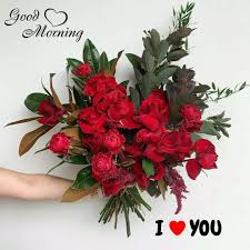 Love good morning flowers hd. 103 Good Morrning Flowers Images Photos Free Download