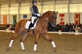 We did not find results for: Lessons From Dorothee Schneider Yourdressage Org