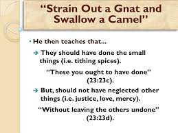 At the same time, they break the spirit and letter of the law in major ways that suit them. Matthew 23 16 24 Woe To You Blind Guides Who Say Whoever Swears By The Temple It Is Nothing But Whoever Swears By The Gold Of The Temple He Is Ppt Download