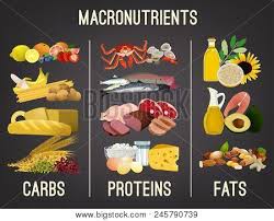 Written by ckgdmsghnew2016 on april 9, 2019.posted in articles, nutrition. Main Food Groups Vector Photo Free Trial Bigstock