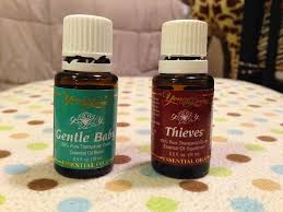 The Life Of A Dickinson Hand Foot Mouth Disease Hand Foot And Mouth Essential Oils Essential Oils For Eczema