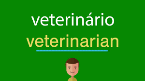 Pensé que tom era veterinario. Como Dizer Veterinario Em Ingles Youtube