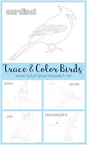 Bird Pictures To Color For Free Bird Trace And Color Printables Homeschool Nature Study Bird Coloring Pages Nature Journal