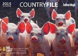 Countryfile Calendar 2015 Animals Beautiful Pet Pigs Animal Magic