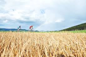 Apps with emphasis on structured training, analytics and provide you with tools to help you manage your indoor training and racing season. Bett Bike Home