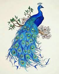 Pin By Servet Karagol On Resim Peacock Art Peacock Painting Peacock Drawing