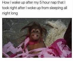 How I Wake Up After My 5 Hour Nap That L Took Right After L Woke Up From Sleeping All Night Long Meme On Ballmemes Com