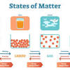 Aristotle famously contends that every physical object is a compound of matter and form. 1