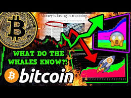 In 2020, it's seen renewed growth in the face of the yet, since its release, the whitepaper has had a profound impact on the world. Bitcoin Whales Are Dumping But Btc Price Is Pumping What This Means Youtube