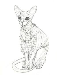 We did not find results for: Pencil Hairless Cat Drawing Novocom Top