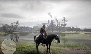 Nov 05, 2018 · there is no real structure to robbing a train in rdr2, but there are definitely a few things you should know before attempting a train heist. Red Dead Redemption 2 How To Get The Red Dead 2 Arabian Horse Gaming Entertainment Express Co Uk