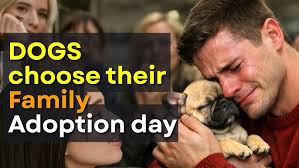 Tribute to my black cat 🖤