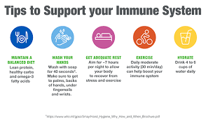 How To Boost Your Immune System Through Nutrition