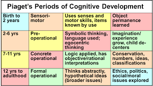 Piagets Periods Of Cognitive Development Child Development