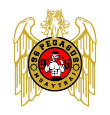 96 Pegasus Muaythai & Combat Fitness - Beaufort