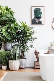 Hanging plants above a dining table is an innovative way to display greenery and brings an element of conservatory style into the space. For The Home 7 Stylish Ways To Display Houseplants So Fresh So Chic
