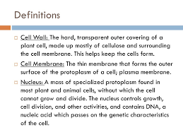 We did not find results for: Christina S Cell Diary All About Cells Definitions Cell Wall The Hard Transparent Outer Covering Of A Plant Cell Made Up Mostly Of Cellulose And Ppt Download