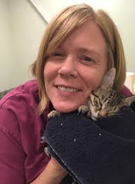 EVAH-Kitchener now has a phone number...haha...very exciting for us!  519-894-2323. The Kitchener crew is working away