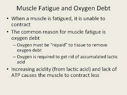 Properties Of Skeletal Muscle Electrical Properties Rmp90 Mv
