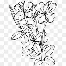 All rights belong to their respective owners. Flower Line Embellishment Coloring Page Linha De Enfeite Png Transparent Png 1000x1000 1965703 Pngfind