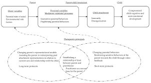 Attachment Theory In The Assessment And Promotion Of Parental Competency In Child Protection Cases Cause And Effect Essay Attachment Theory Social Work Exam
