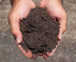 Your ingredients need to be dry and sifted until there are no clumps. San Antonio Top Dressing Mix New Earth Compost