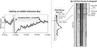 dramatic hydrodynamic and sedimentary responses in galveston