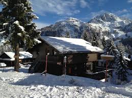 A haus sonnleitn és haus carinthia 3 felszerelt apartmant, éttermet, sportboltot foglal magába. Haus Petra Ferienhaus Sonnenalpe Nassfeld