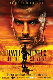 Undisputed Design + Marketing