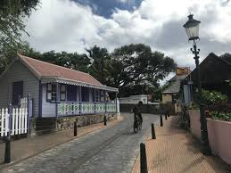 Image result for Staudtia