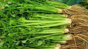 Kalau daun sup dan daun ketumbar masih dijual dengan akarnya, mungkin lebih mudah untuk anda membezakan keduanya. Daun Ketumbar Vs Daun Sup Nak Lebih Sihat Makan Yang Mana Satu Kartel Dakwah