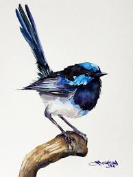 Fairy Wren Bird On The Branch Small Bird Blue Bird Original Watercolor Painting By Alisiasilvera Bird Watercolor Paintings Watercolor Bird Watercolor Paintin
