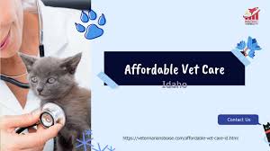 We believe quality veterinary care should always be affordable. Affordable Vet Care Id