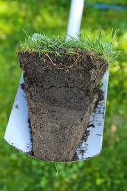Rasen Bewassern Selbst De Rasen Bewassern Garten Gewachshaus
