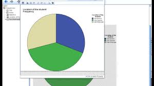 spss diagrams pie chart from a table