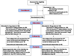 The Consort Flowchart Of Ev71vac Phase 1 Clinical Trial The
