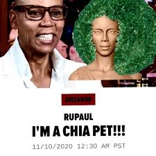 Although it is an as seen on tv product, i can assure you that it works. Chia Pet Posts Facebook