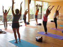 Check out alachua county on ebay. 1580 Yoga Und Pranayama Retreat Weltweit Bookyogaretreats